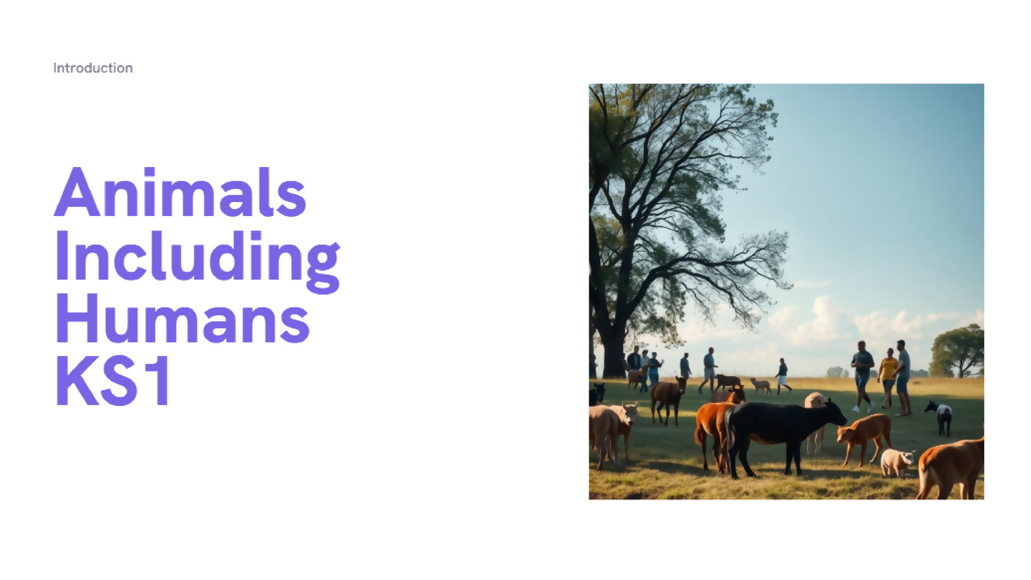 Screenshot 2025-06-11 123616