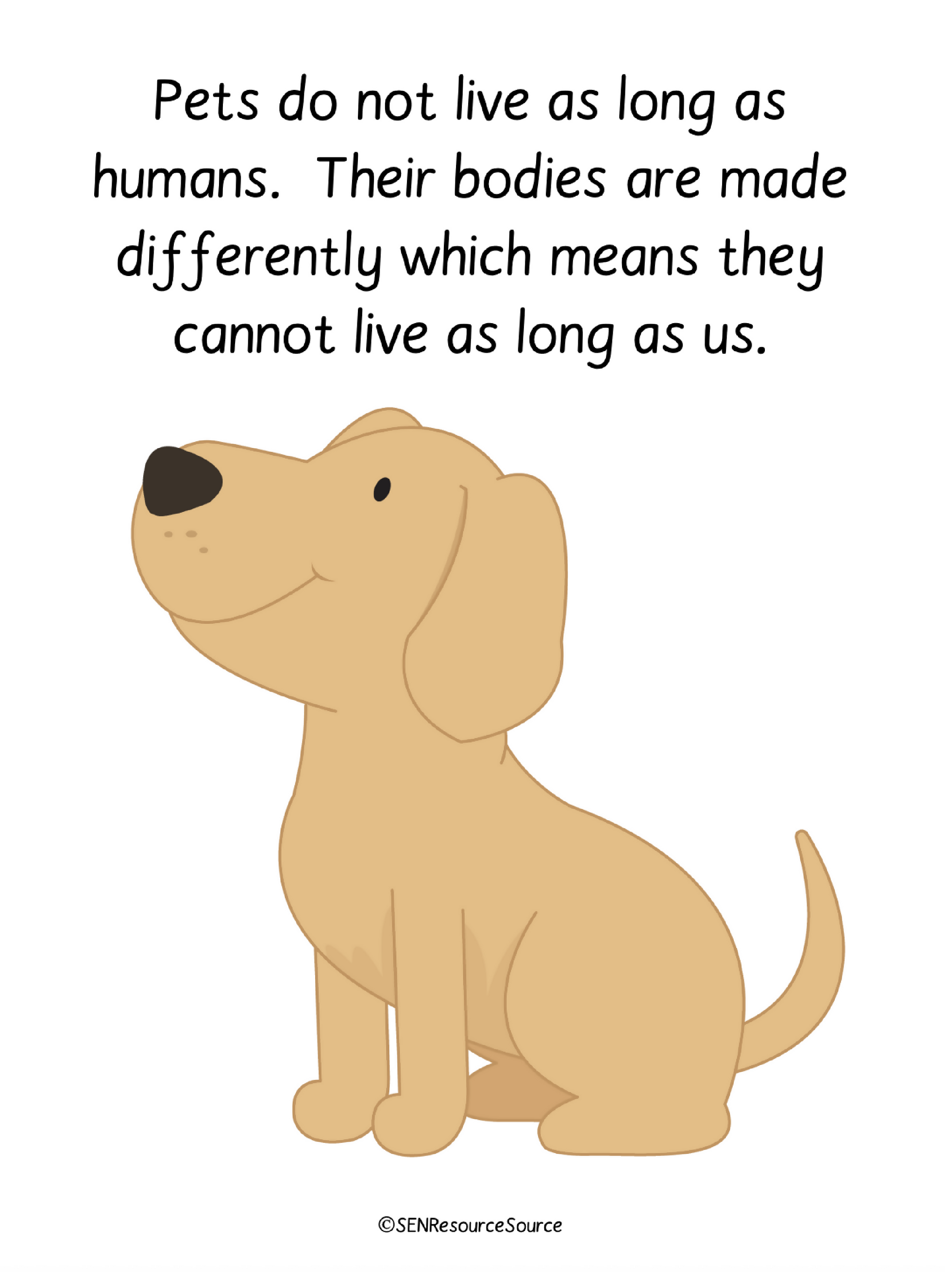 Screenshot 2025-06-12 at 13.59.58