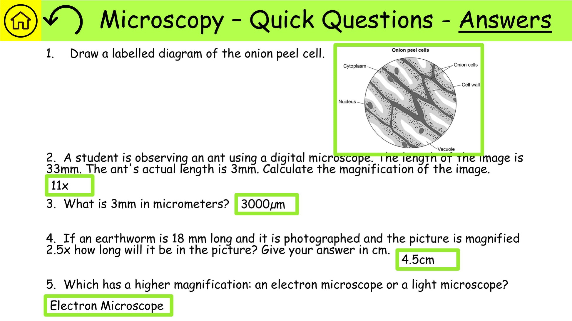 AQA Combined Science Biology Required Practical Revision PDF-05 Preview