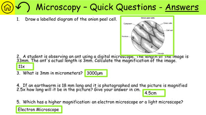 AQA Combined Science Biology Required Practical Revision PDF-05 Preview