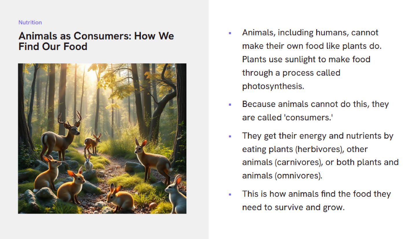 Screenshot 2025-06-11 120755