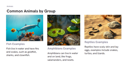 Screenshot 2025-06-11 123805