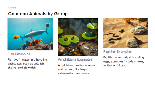 Screenshot 2025-06-11 123805