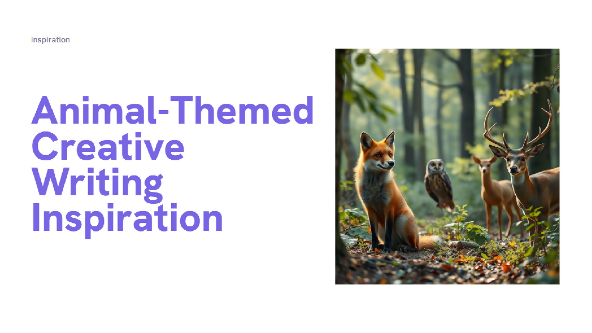 Screenshot 2025-06-17 103217