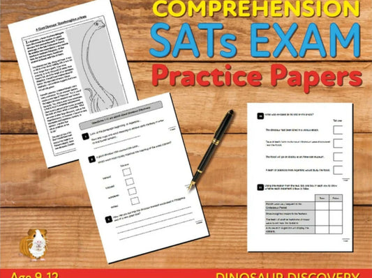 SATs Exam practice papers on a wooden surface with a pen.