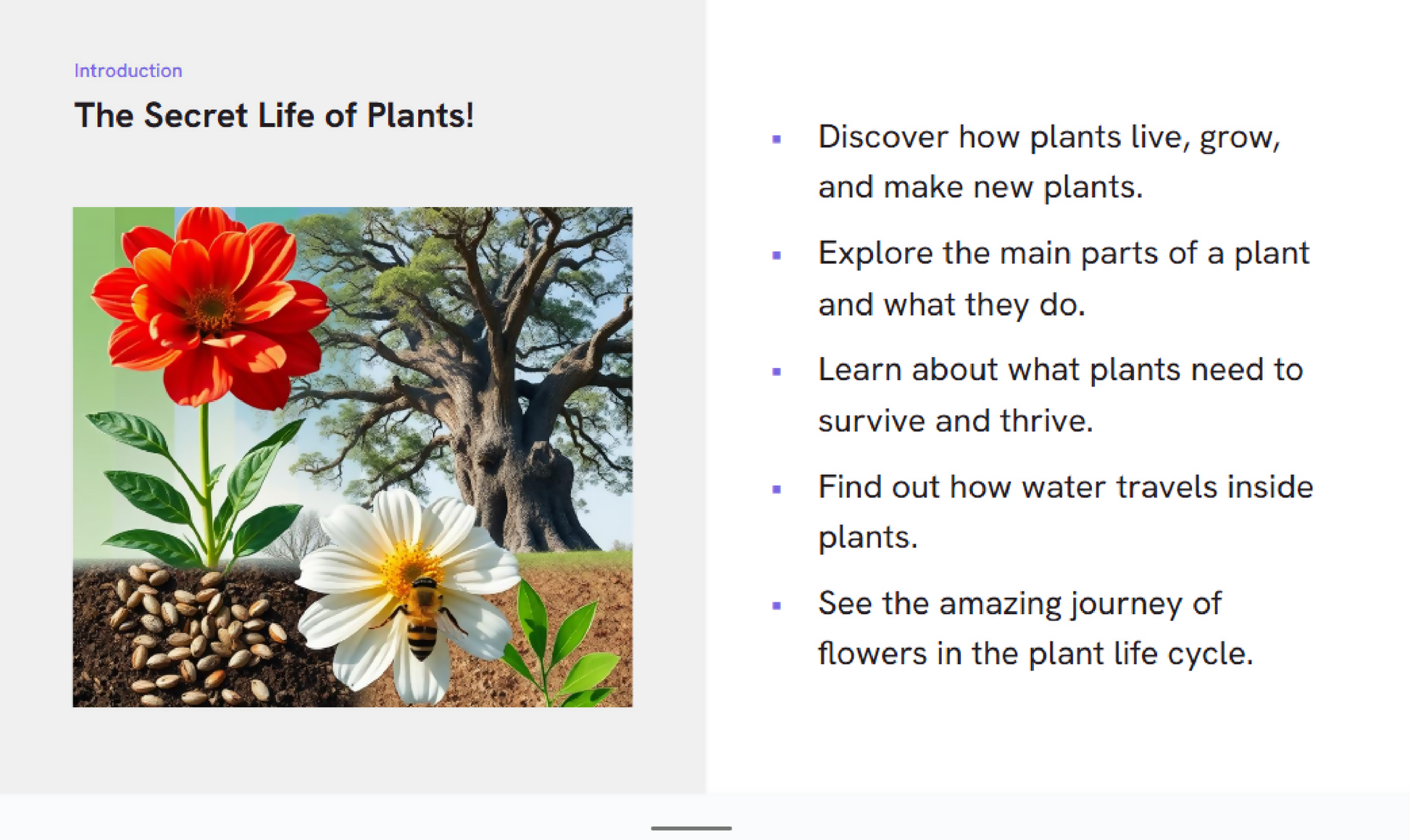 Screenshot 2025-06-09 145059