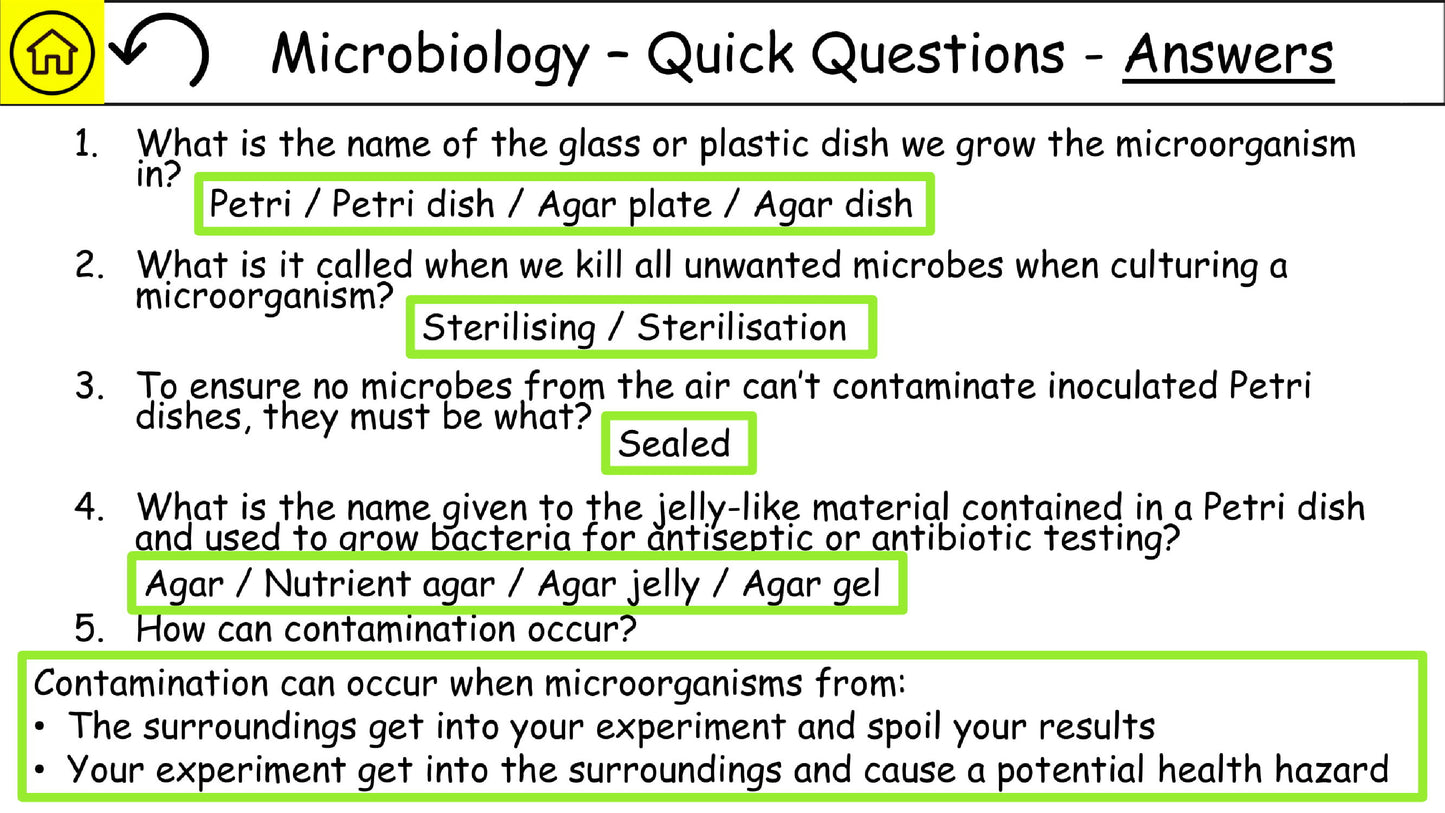 AQA Biology Required Practical Science Revision PDF-17 005